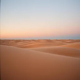 Desert Whispers