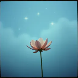 Everyday Love - English version