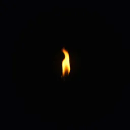 Shadows in the Flame