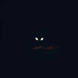 Boo