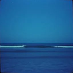 The Shores of Forever