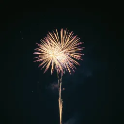 A Bright New Year 2025