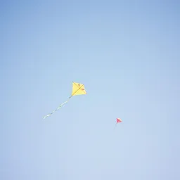 RASA