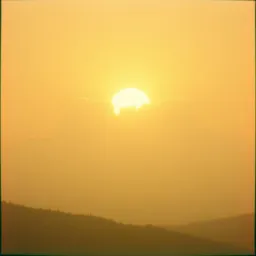 Golden Glow
