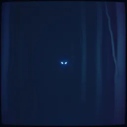 Shadow Hunters