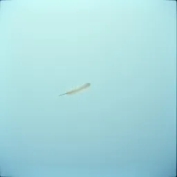Drifting