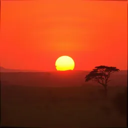 Kiiza