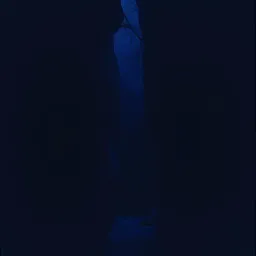Ego