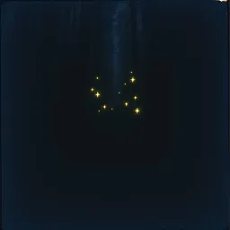 Stars in Our Hearts