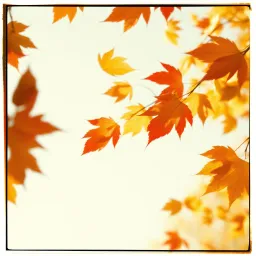 Fall is coming