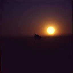 Darkest time.