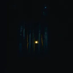 Light In My Darkest Sky