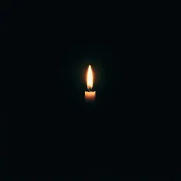 Can't fade away