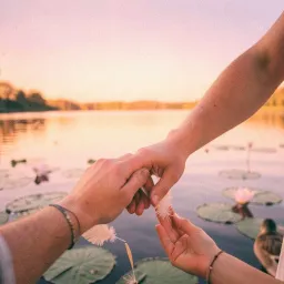 Feeding Ducks, Holding You