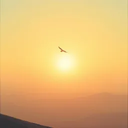 Freedom’s Flight
