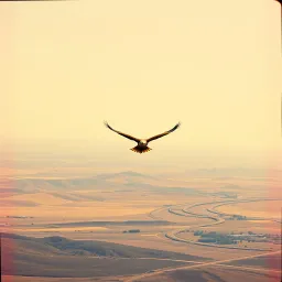 This Land We Love