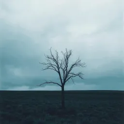 What It Takes to Be a Man