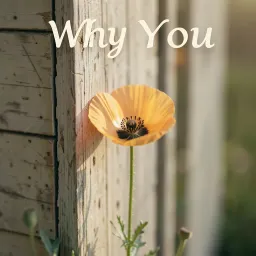 Why You