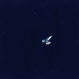 Shining Beyond the Night