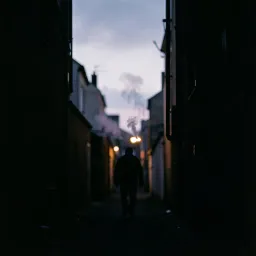Fading Into Shadows