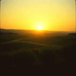 Sous le Soleil de Provence