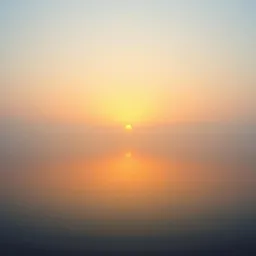 Morning