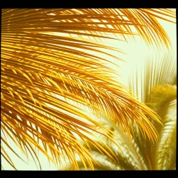 Sweet Vibration