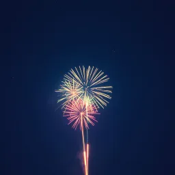 Mildred's Fireworks
