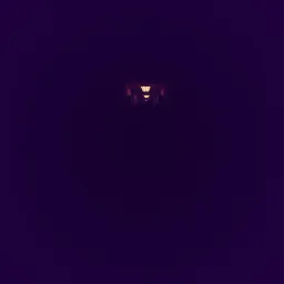 Night Terrors