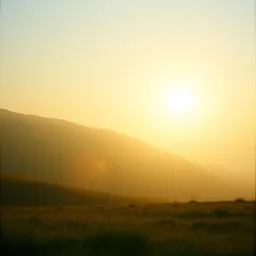 Blissful Horizon