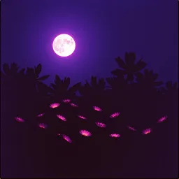 Furie nocturnes