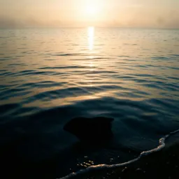 Still Water Black