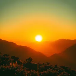 Chasing the Sun