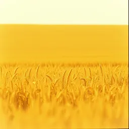 Fields of Warning