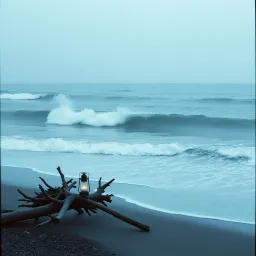 Tidal Wave