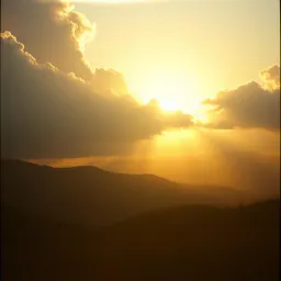 Risen for Everyone