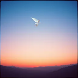 When Night Comes