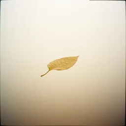 Entre o Céu e o Vazio