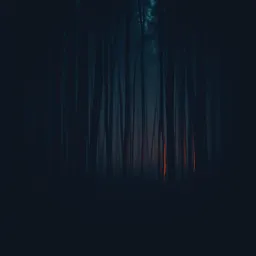 Fire in the Dark