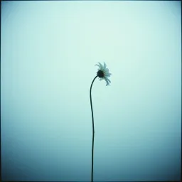 Entre nostalgia y soledad