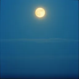 Lo admito