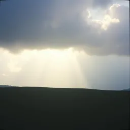Day the pain goes away