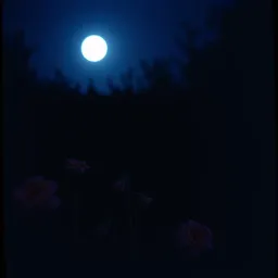 Elâ