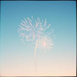 You are the best wish I ever made
