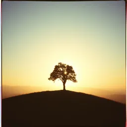 I Stand On My Own