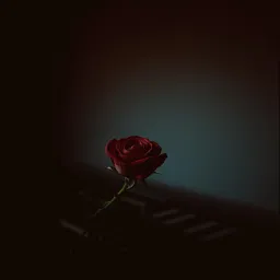 Echoes of My Love and Loss