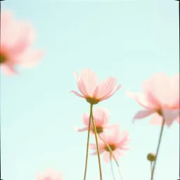 Almost Love
