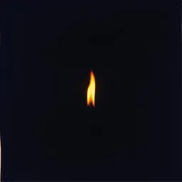 Shadows in the Flame