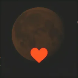 La última noche que nuestro amor sobrevivió