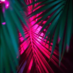 Dance Fever
